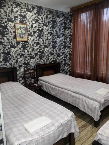 Фото номера Двухместный номер с 2 отдельными кроватями и душем Хостелы Hotel E U R O P E г. Кварели 6