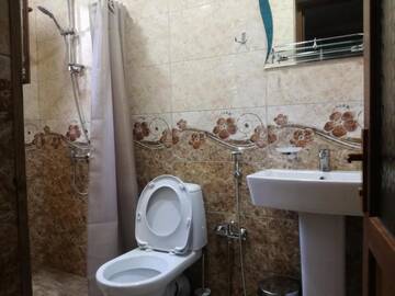 Фото номера Четырехместный номер с собственной ванной комнатой Мини-отель Guest House Kakheti г. Кварели 12